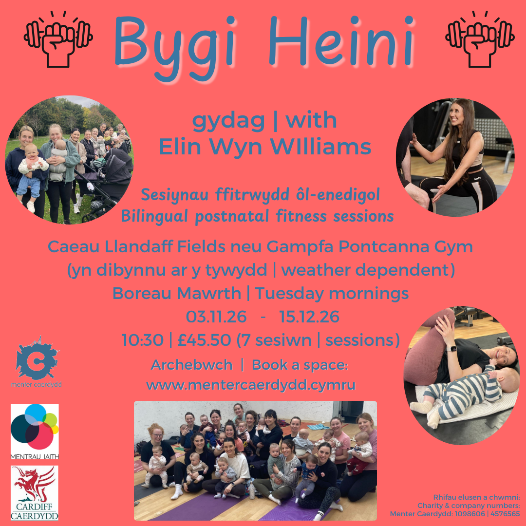 Bygi Heini Tachwedd 26